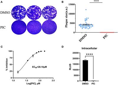 The anti-Toxoplasma activity of the plant natural phenolic compound piceatannol